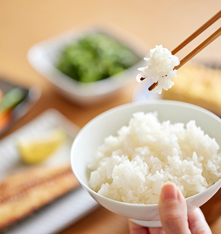 代表挨拶 豊かな食文化のために